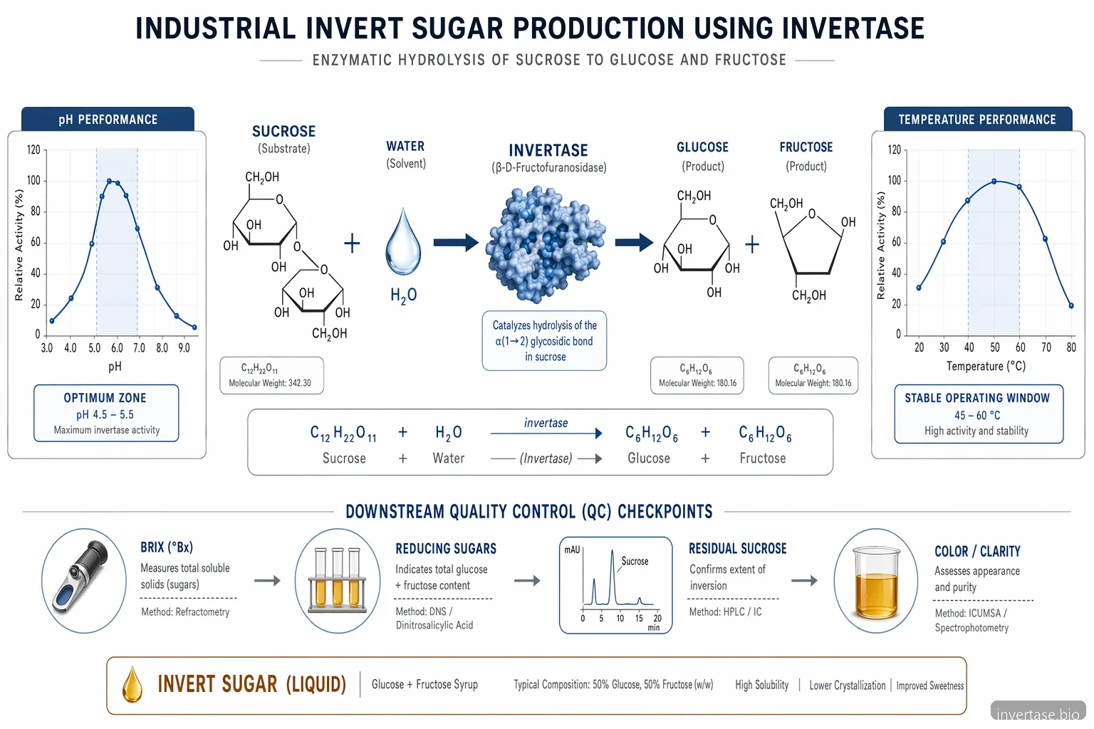 invertase process diagram for invert sugar production showing sucrose hydrolysis, pH-temperature windows, and QC checkpoints